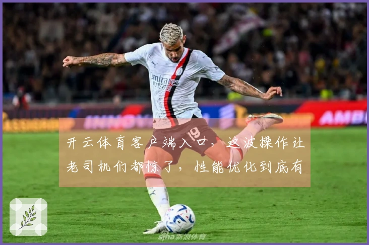 开云体育客户端入口,这波操作让老司机们都惊了,性能优化到底有多给力?