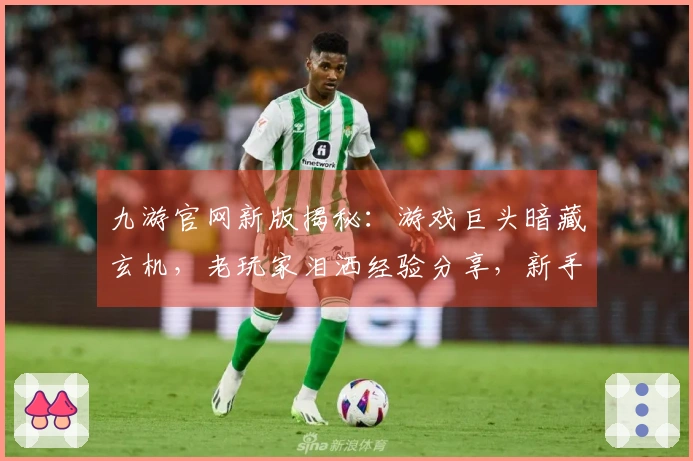 九游官网新版揭秘：游戏巨头暗藏玄机，老玩家泪洒经验分享，新手速速避坑！